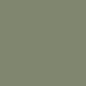 Linoleum Oliven